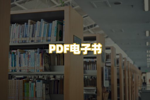 PDF电子书